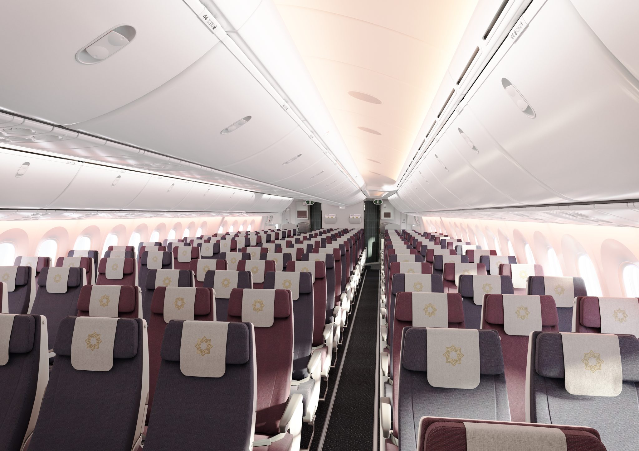 Vistara Unveils Their First Boeing Dreamliner Aircraft